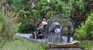 Gator-Park-Airboat-Tours