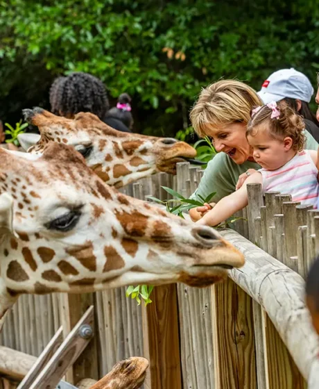 Things to Do in Miami with Kids