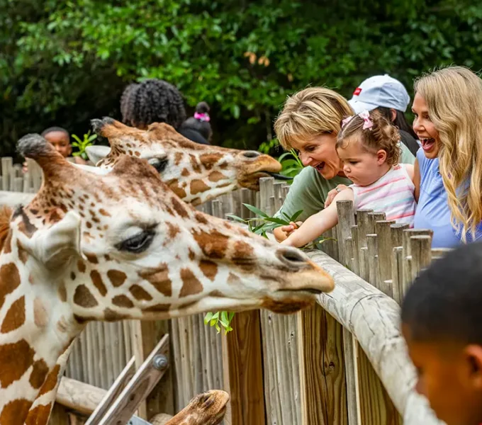 Things to Do in Miami with Kids