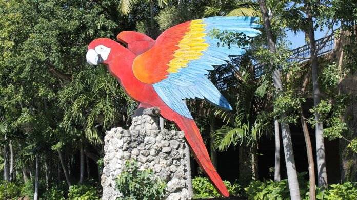 Miami Jungle Island